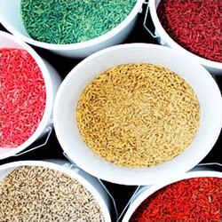 Les Meilleurs Appâts pour la Pêche en Étang : Guide par Espèce