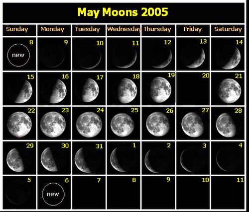 Pêcher avec la Lune en 2026 : Calendrier Lunaire du Pêcheur Complet