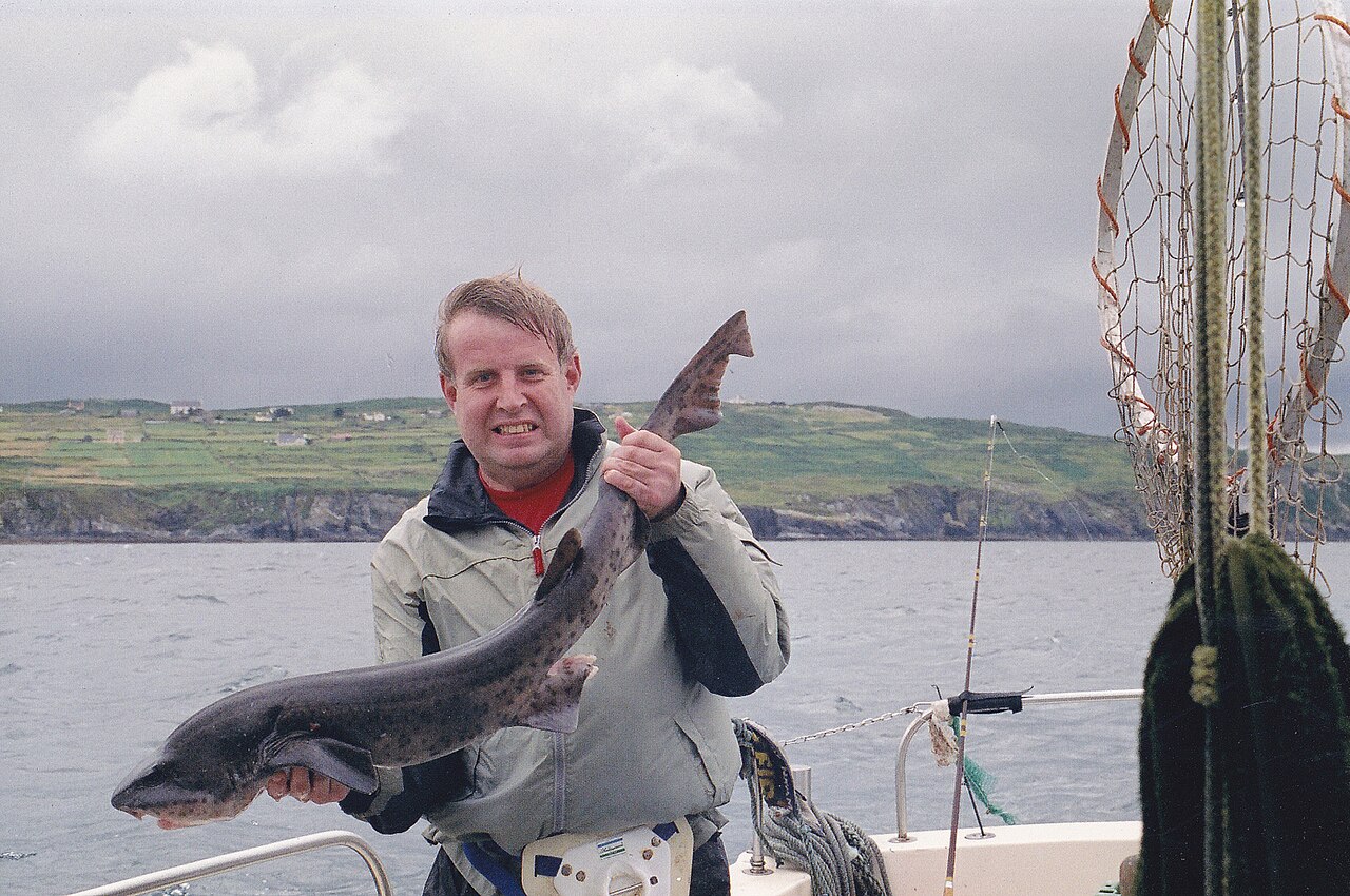 Comment pêcher le silure : techniques et matériel