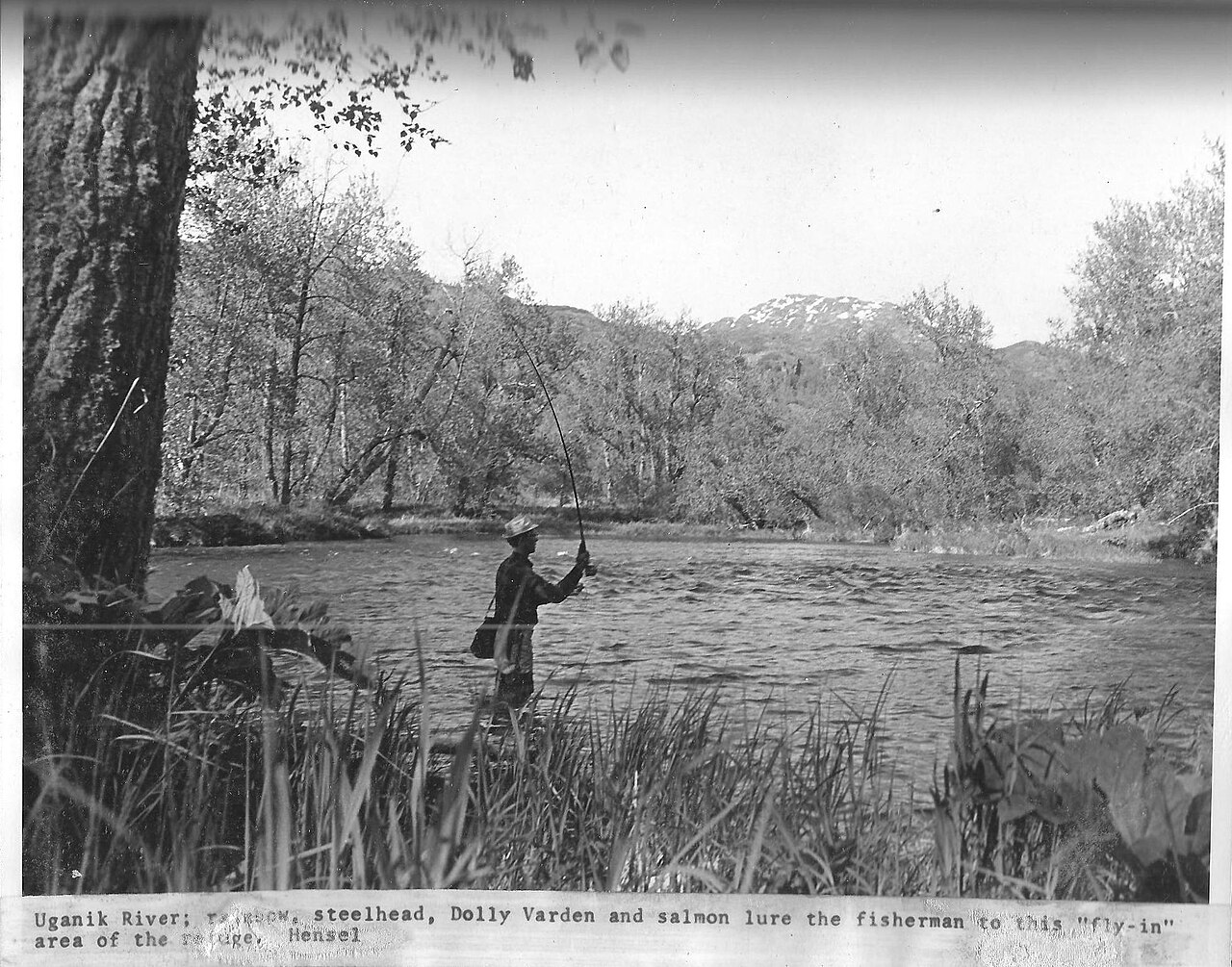 Meilleur Leurre Brochet 2026 : Notre Comparatif des 10 Indispensables