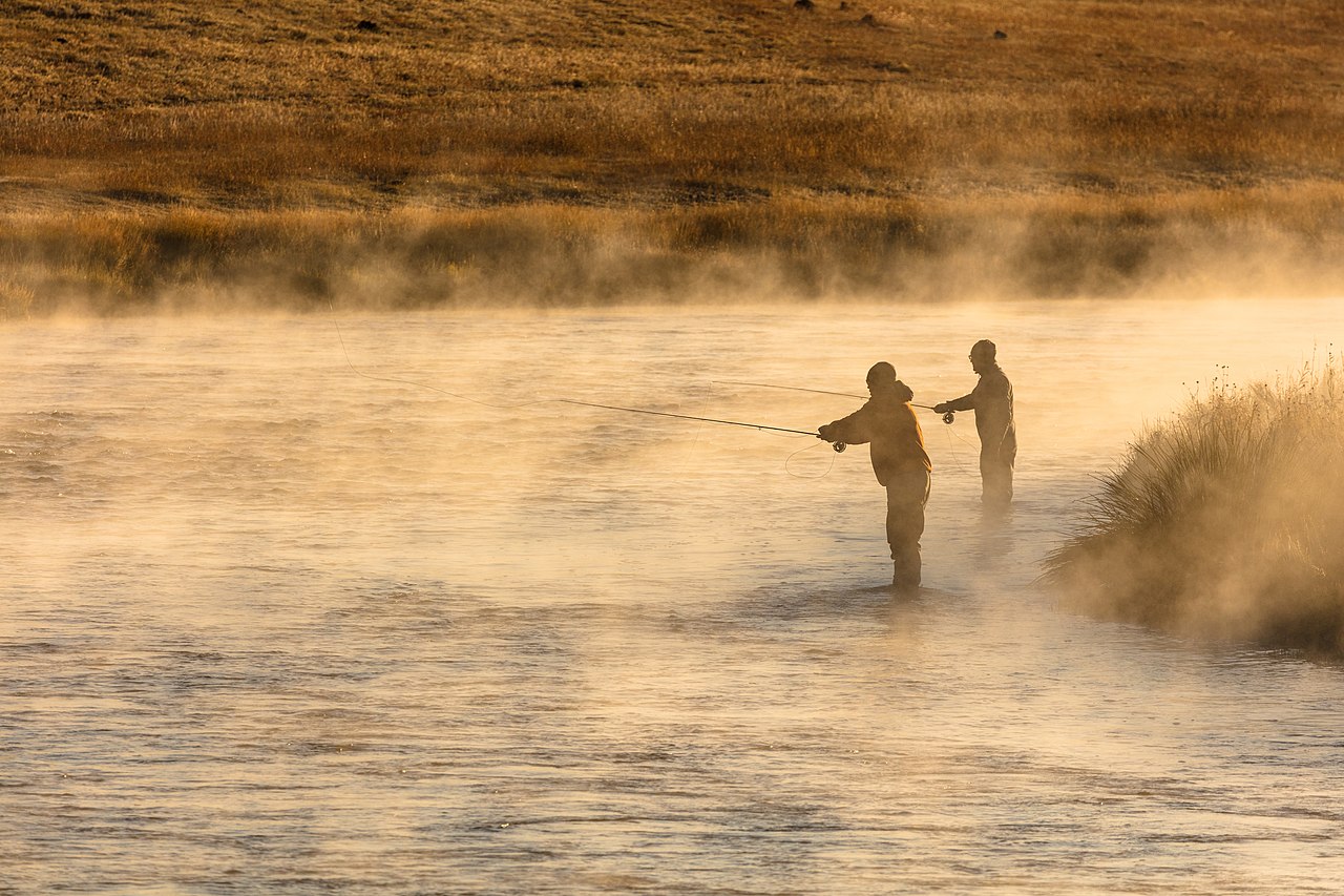 À Quelle Heure Pêcher ? Horaires par Espèce et par Saison