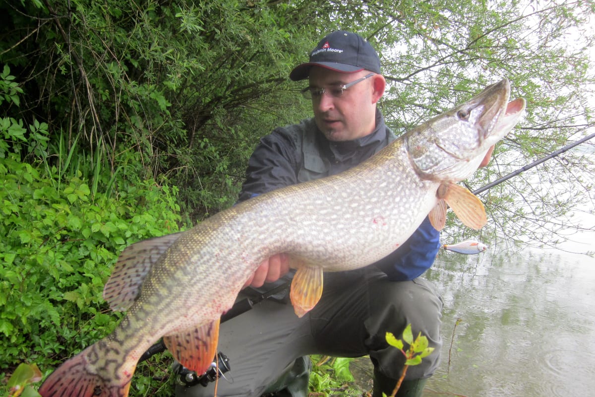 Meilleures Cannes Brochet 2026 : Guide d'Achat Comparatif