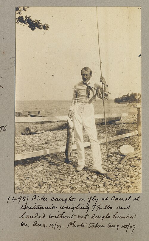 Montage Pêche au Vif : Techniques pour Carnassiers