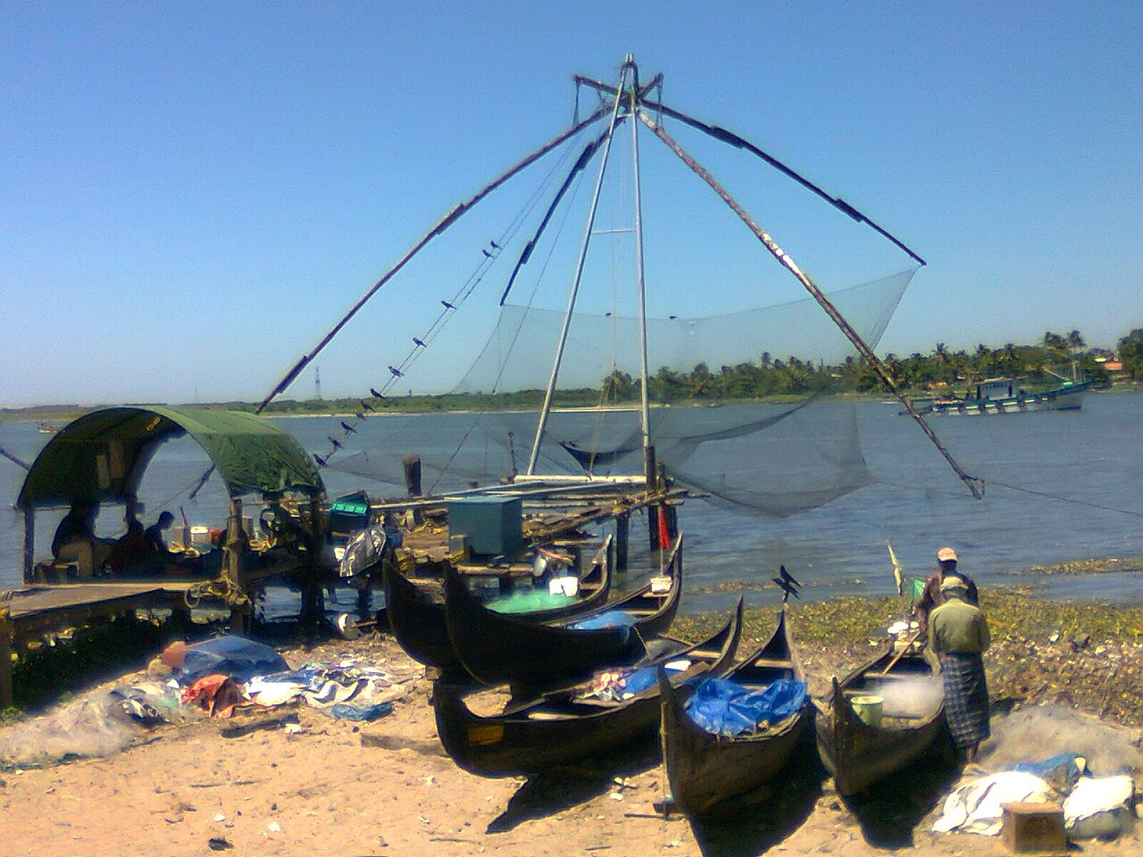 Montage Pêche en Mer : Les Rigs Essentiels du Bord