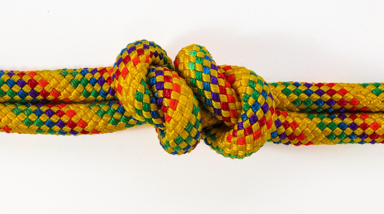 Les Nœuds de Pêche Essentiels : 8 Nœuds à Connaître Absolument