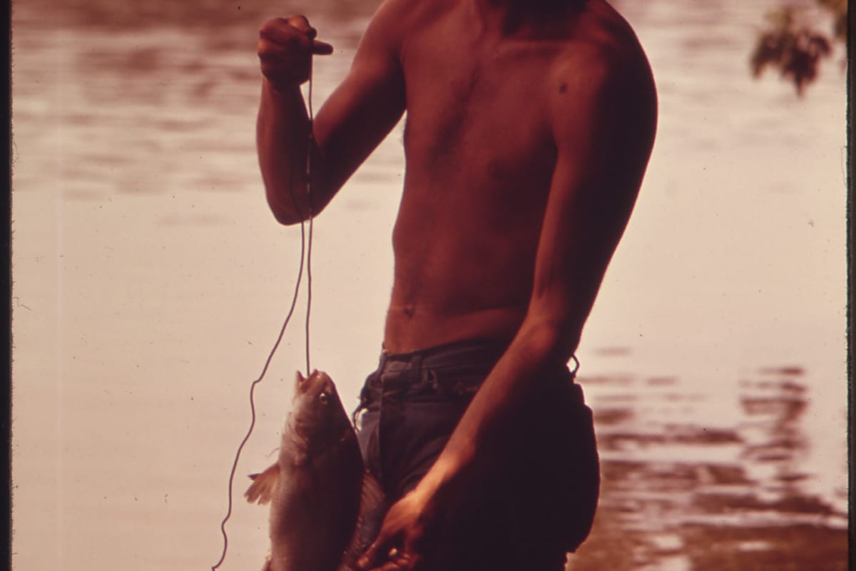 Ouverture Carnassiers 2026 : Dates, Règles et Techniques