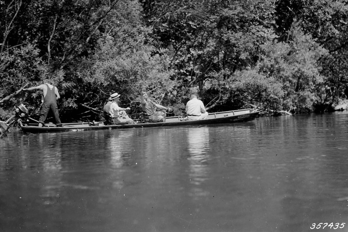 Pêche au Coup en Rivière : Techniques, Montages et Postes