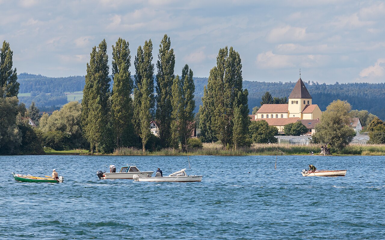 Pêche au Feeder : Technique Complète pour Tous les Niveaux