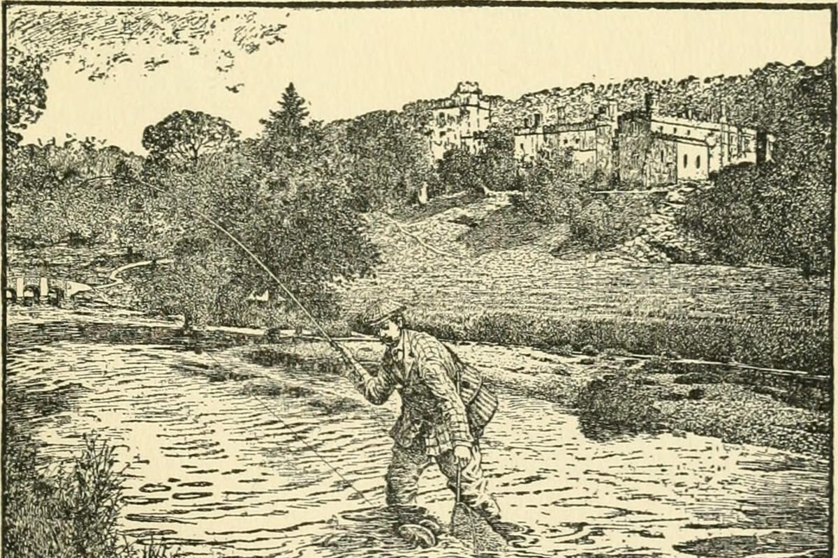 Pêche au Leurre : Guide Complet pour Débutants 2026