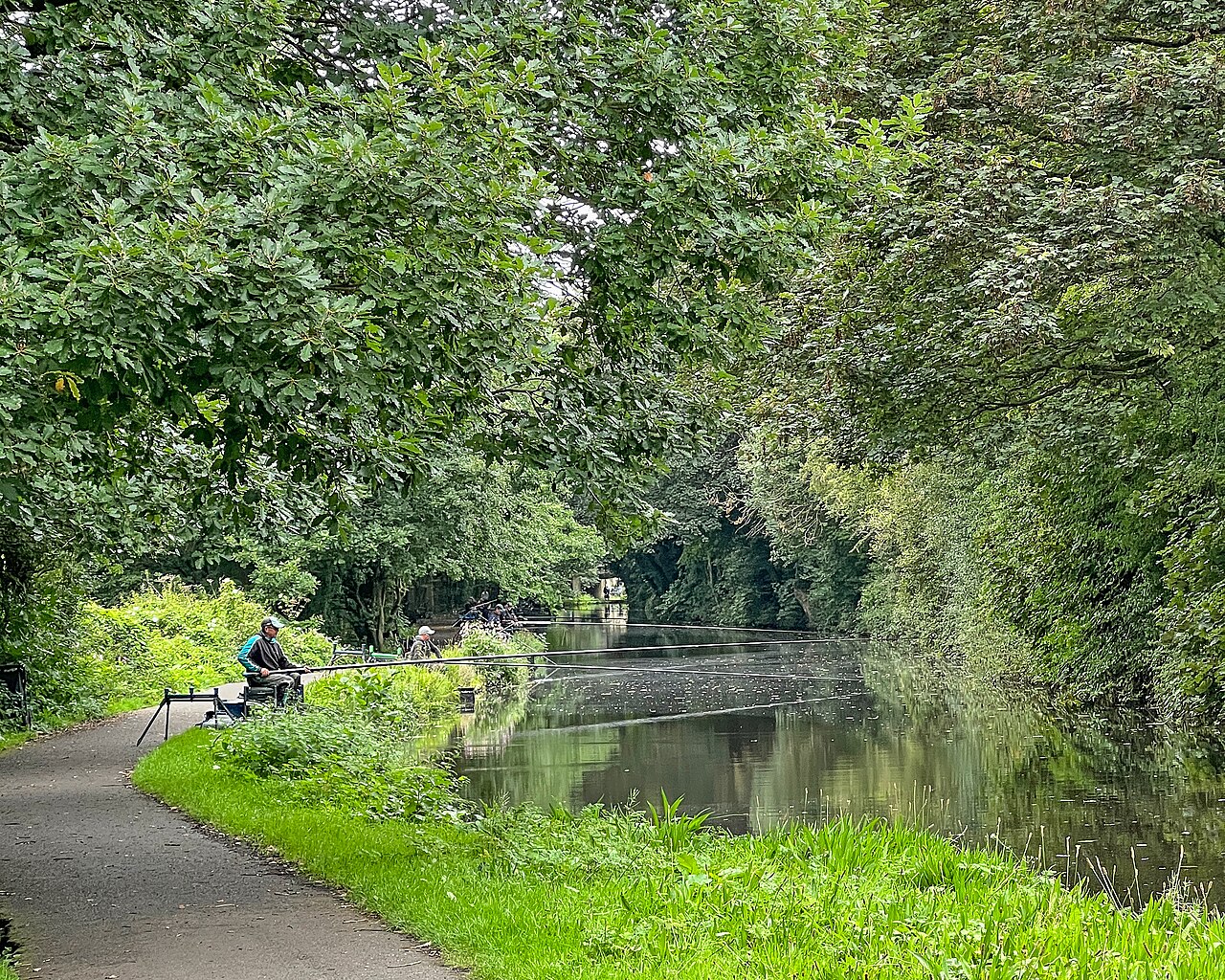 Pêche au Method Feeder : Technique, Montages et Recettes d'Amorce