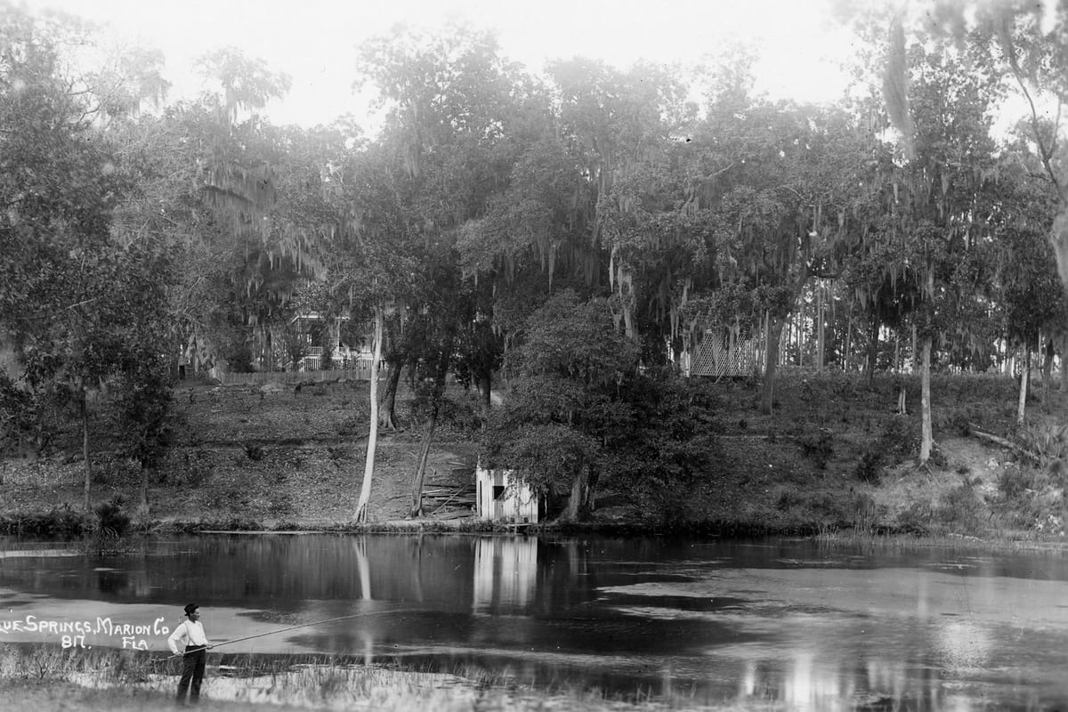 Pêche au Printemps : Espèces et Techniques 2026