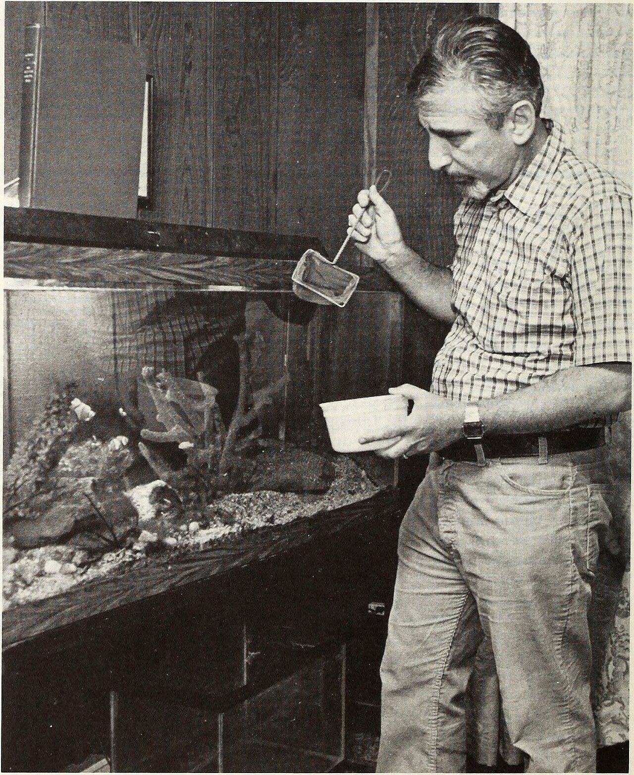 Pêche au Ver de Terre : Guide Complet Techniques et Montages