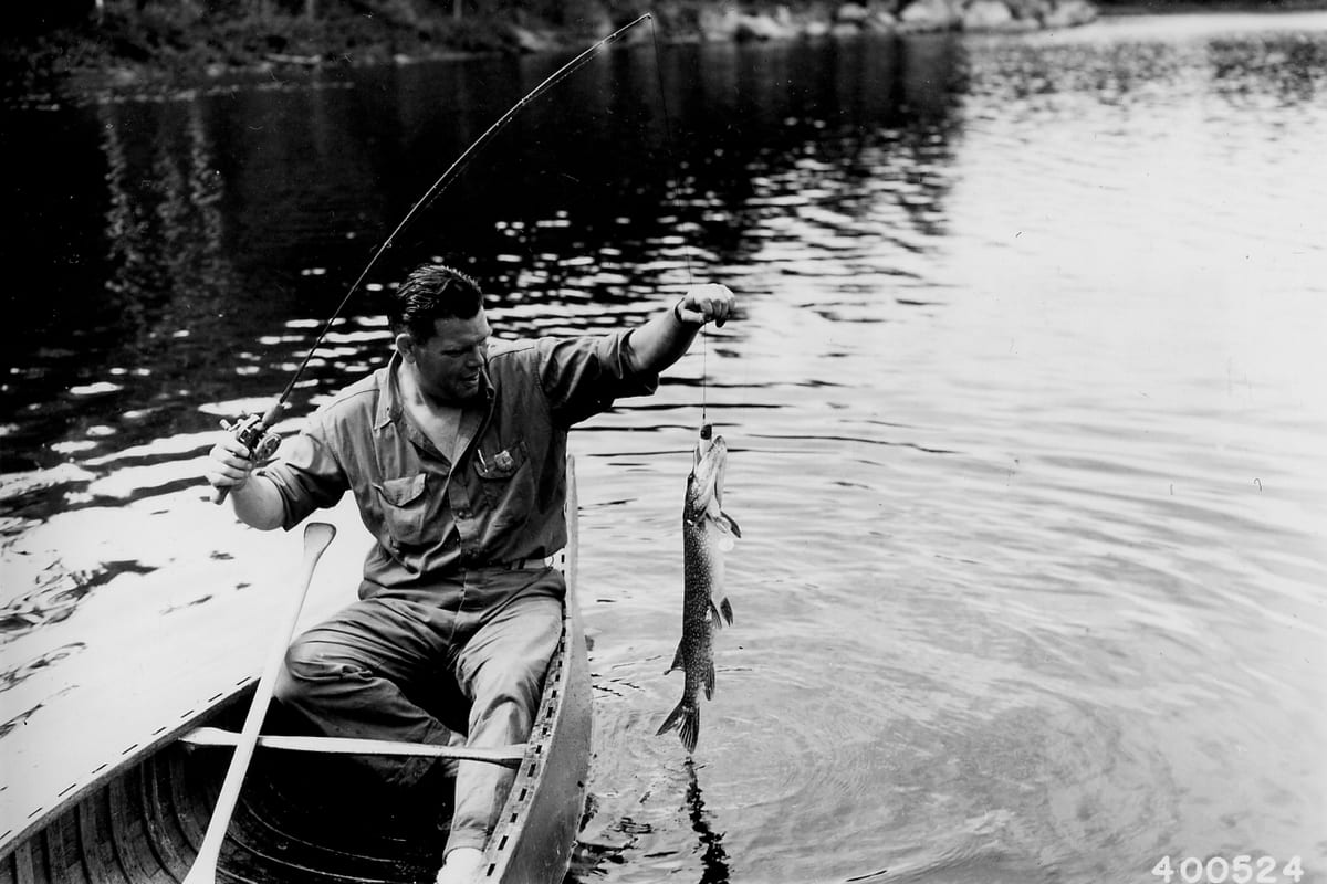 Pêche du Brochet au Vif — Techniques, Montages et Réglementation