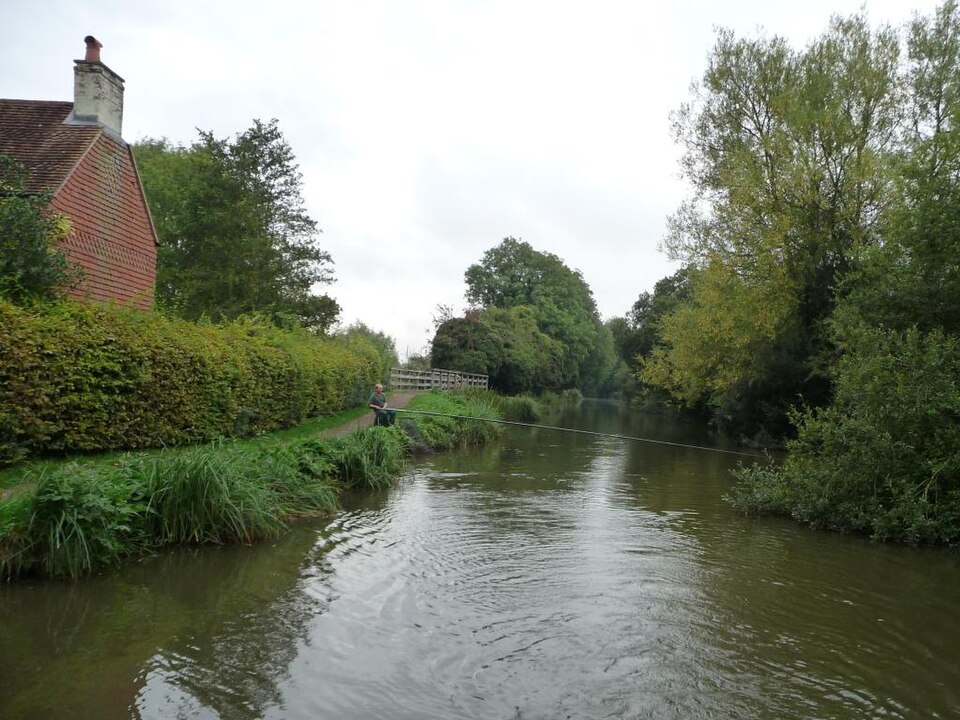 Pêche en Canal : Guide Complet Techniques et Espèces