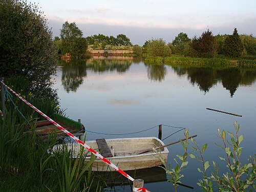 Pêche en Étang : Guide Complet pour Débutants 2026