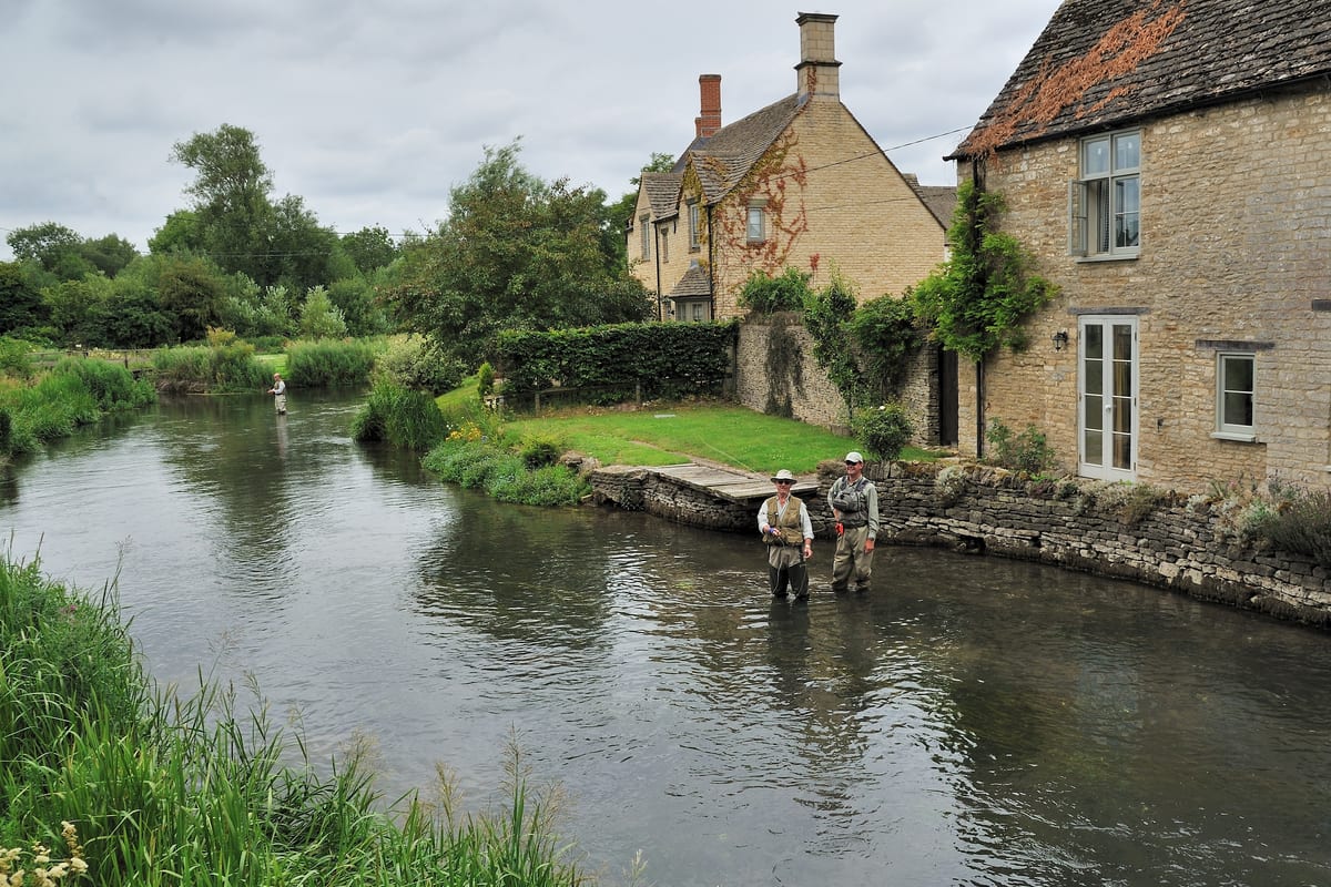 Pêche en Juillet : Guide Saisonnier Plein Été
