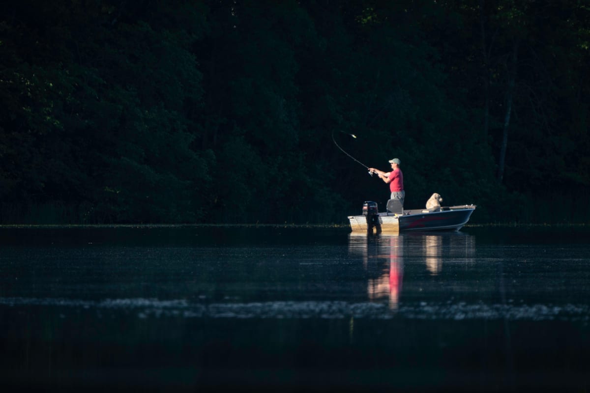 Pêche en Juin : Guide Saisonnier Début d'Été