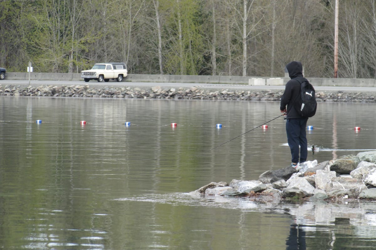 Pêche en Mai : Guide Saisonnier Espèces et Techniques