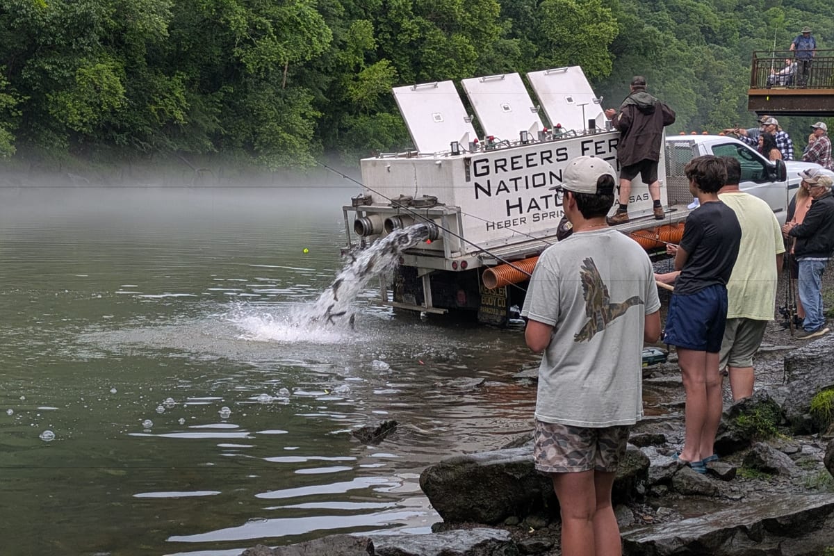 Pêche en mars : guide complet des espèces et techniques