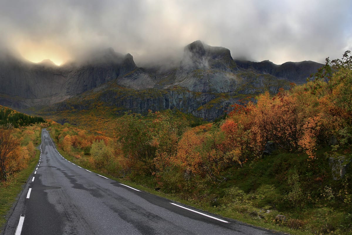 Pêche en Novembre : Guide Complet Fin d'Automne