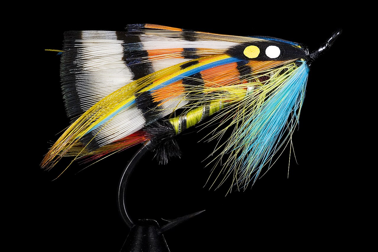 Pêche à la Mouche pour Débutants : Guide Complet