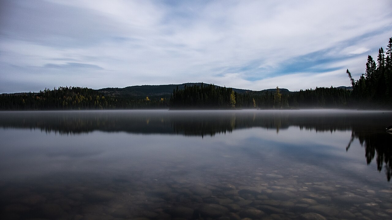 Pêche en rivière en été : techniques pour eaux basses et chaudes
