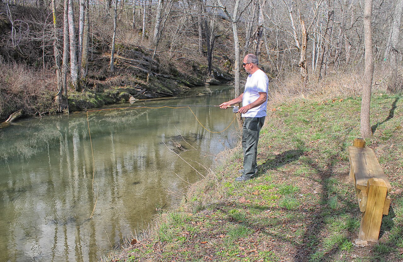 Pêche de la Truite au Toc : Technique Complète pour Débutants