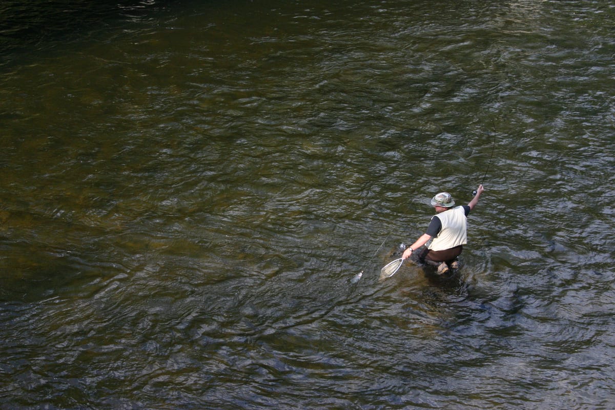 Pêche de la Truite en Rivière : Guide Complet 2026
