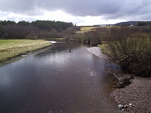 Quel Temps pour Pêcher ? Météo Idéale selon les Espèces