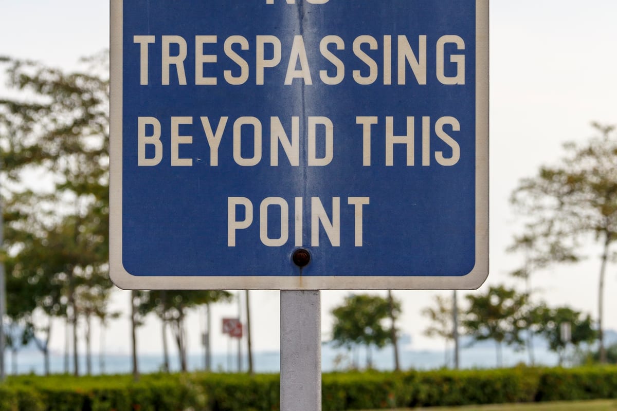 Réglementation Pêche 2026 : Dates, Tailles Légales et Carte de Pêche