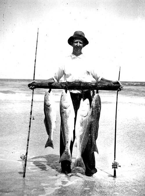 Surfcasting : Technique Complète de Pêche du Bord de Mer